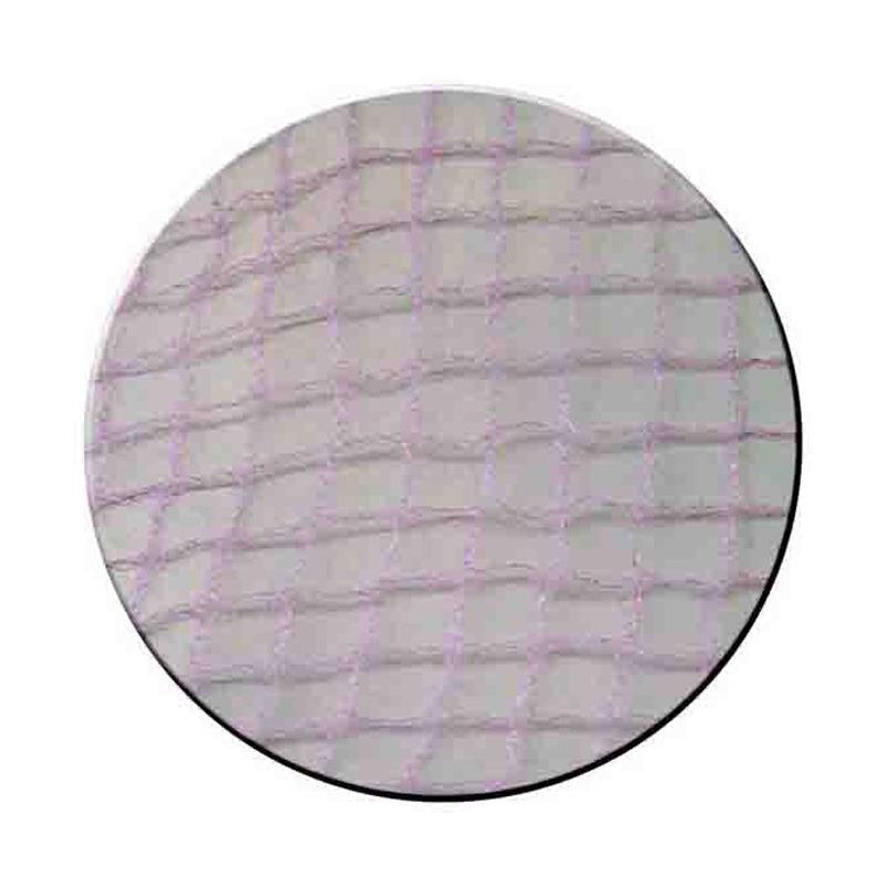 Net Bun Pink 2Pk