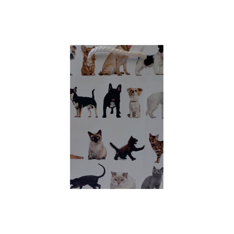 Gift Bag Small Cats & Dogs