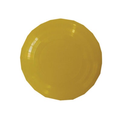 Toy Frisbee