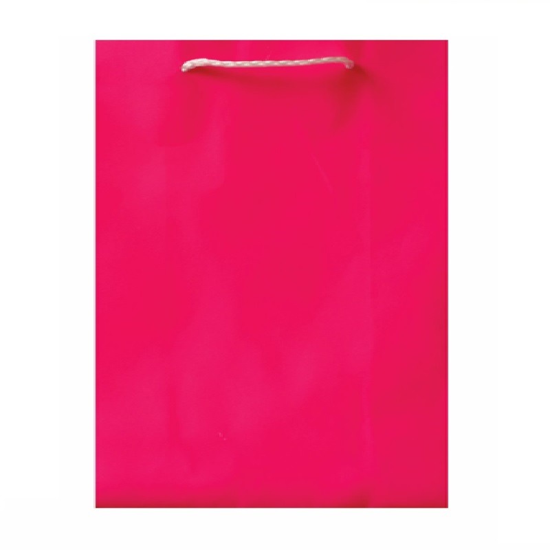 Gift Bag Asstd Designs Neon Pink 28.5x20cm