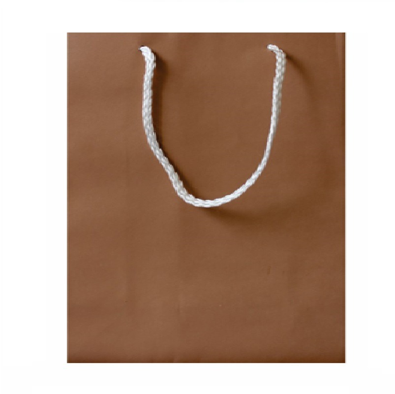 Gift Bag Asstd Designs Light Brown Plain 28.5x20cm