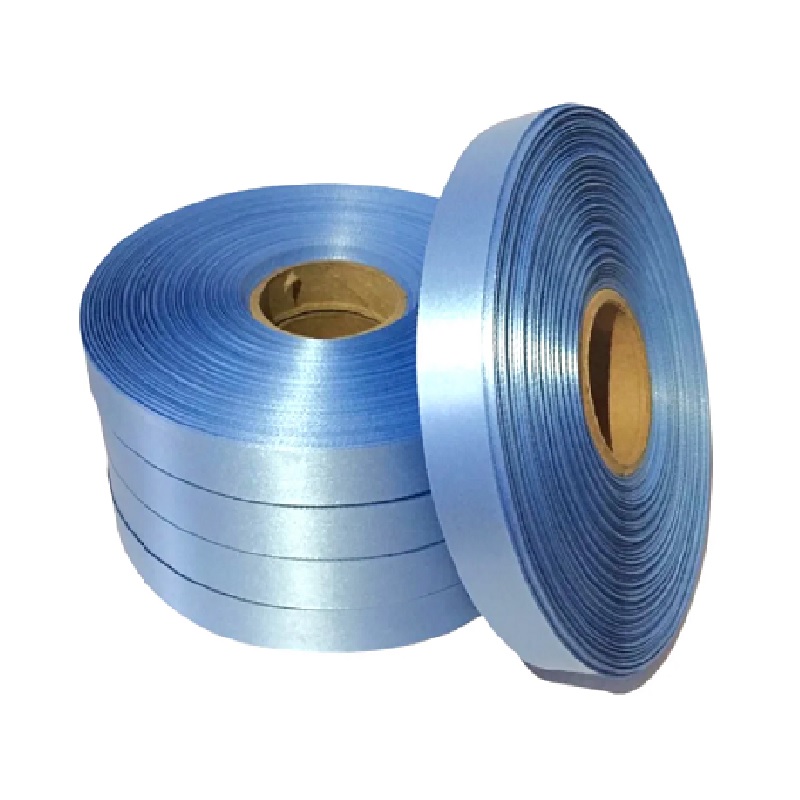 Poly Ribbon 100mx30mm Light Blue