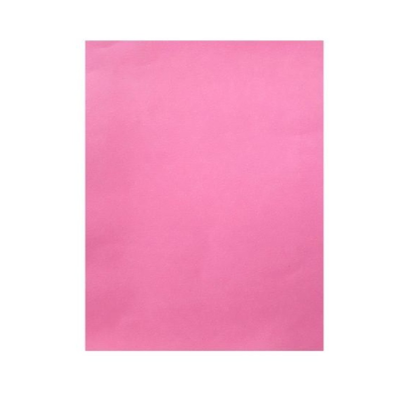 Gift Bag Medium Pink Plain