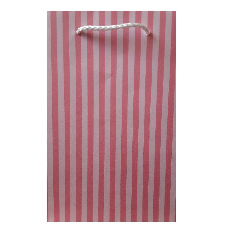 Gift Bag Medium Pink Stripes