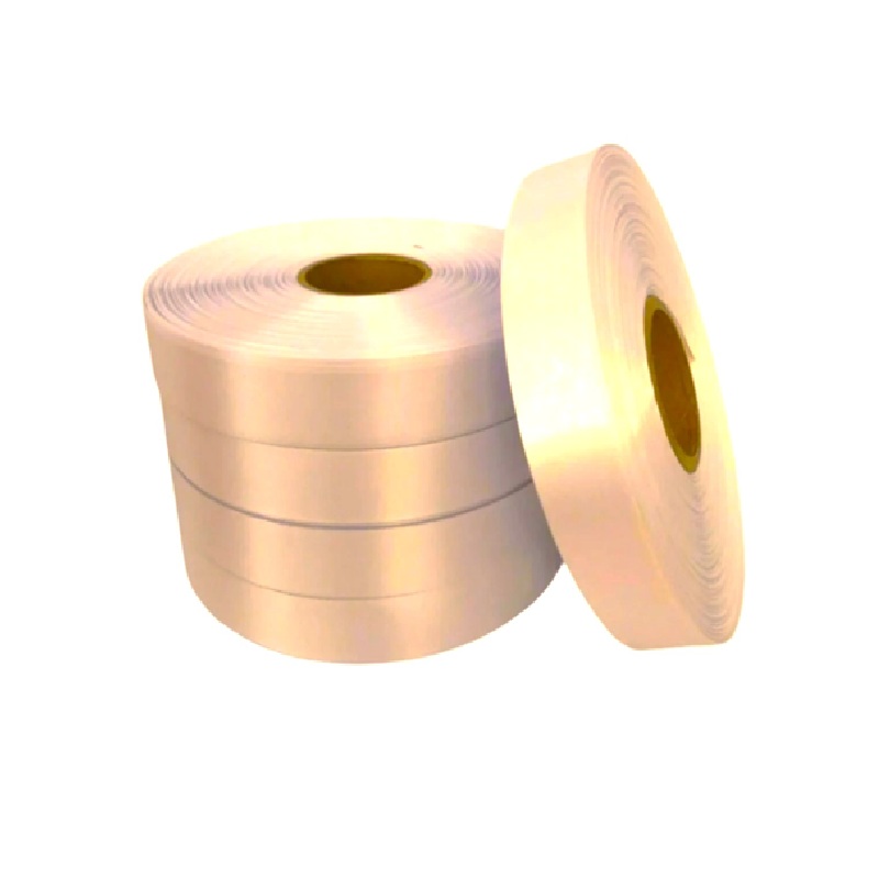 Poly Ribbon 100mx30mm Eggshell
