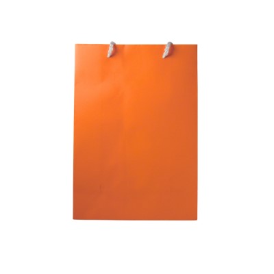 Gift Bag Medium Orange Plain