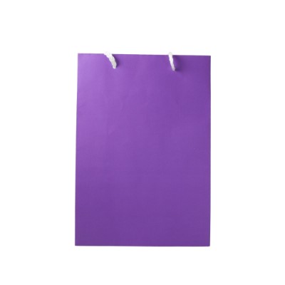 Gift Bag Medium Purple Plain