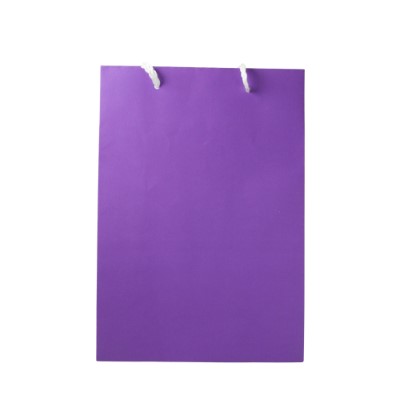 Gift Bag Small Purple Plain
