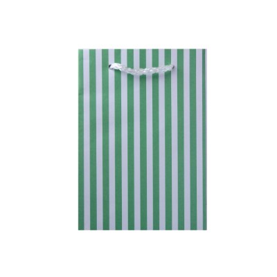 Gift Bag Small White with Thick Ligt Green Stripes