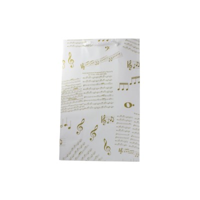 Gift Bag Small Musical Notes