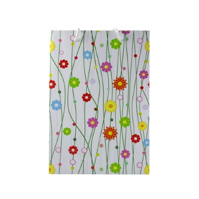 Gift Bag Colourful Daisy Large