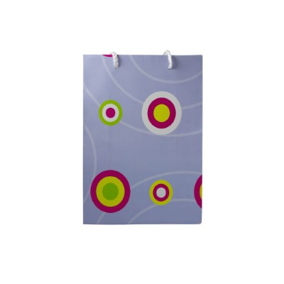 Gift Bag Small Baby Blue with Green Yellow white C