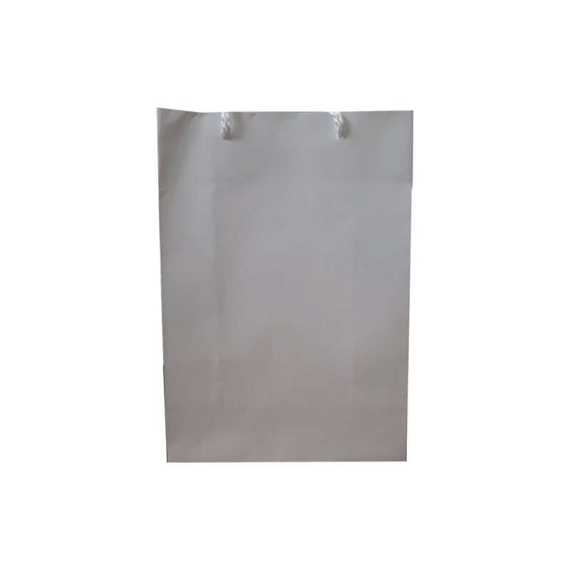 Gift Bag Plain White Small