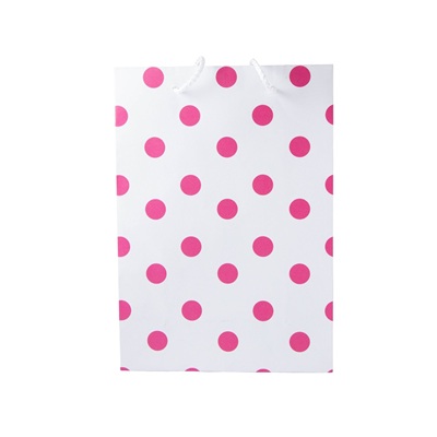 Gift Bag Medium White With Pink Dots