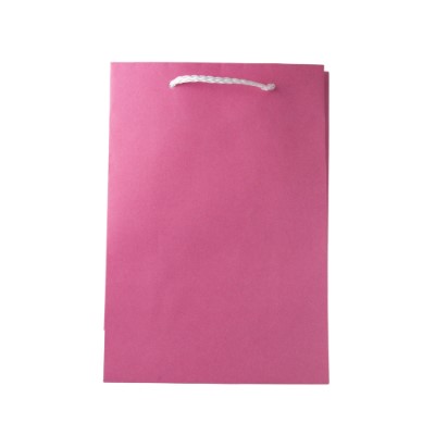 Gift Bag Plain Pink Med