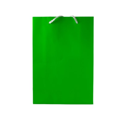Gift Bag Medium Neon Green