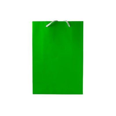 Gift Bag Small Neon Green