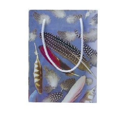 Gift Bag Small Feathers