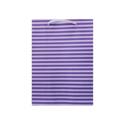 Gift Bag Small Purple with Purple Stripes