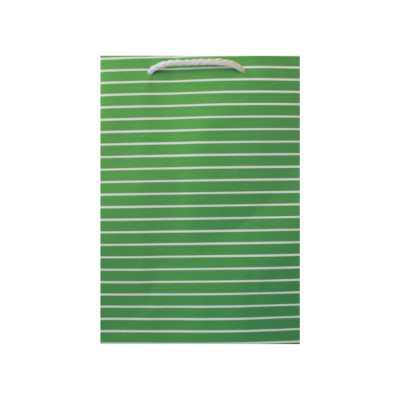 Gift Bag Large Green with Thin White Stripes