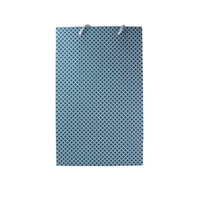 Gift Bag Medium Teal with White Plat